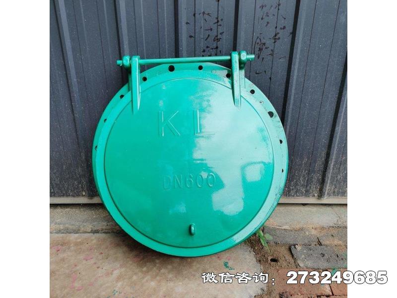 耐腐蝕復(fù)合材料拍門