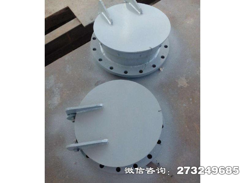 復(fù)合材料側(cè)翻拍門