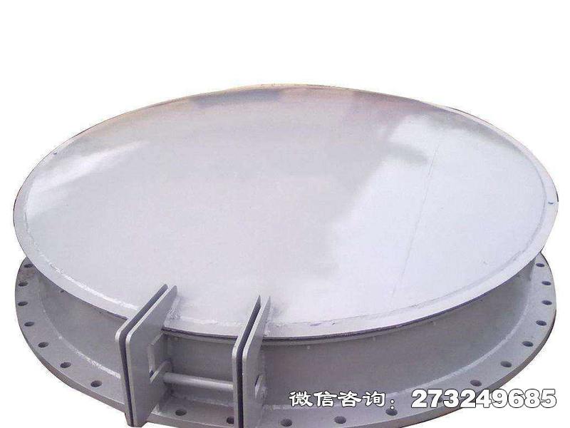 鑄鐵鋼制拍門(mén)