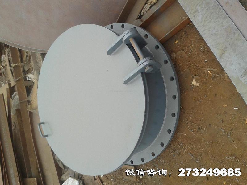 高壓鑄鐵拍門(mén)